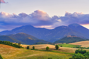 Countryside at sunset, Marche, Italy, Europe