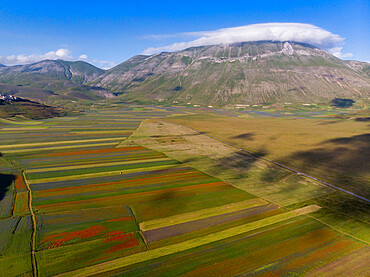 Aerial view of Piano Grande of Castelluccio di Norcia plateau and Mount Vettore, Sibillini Mountain range, Apennines, Umbria, Italy, Europe