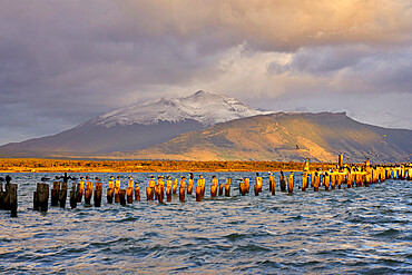 Pier at sunrise, Puerto Natales, Torres del Paine National Park, Ultima Esperanza Province, Magallanes and Chilean Antactica Region, Patagonia, Chile, South America