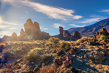 Mount Teide National Park, UNESCO World Heritage Site, Tenerife, Canary Islands, Spain, Atlantic, Europe