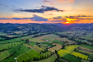 Italy, Umbria, Gubbio, Sunflower fields at sunset