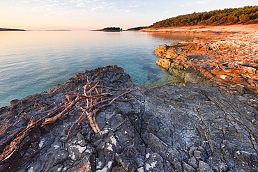 Sunrise over the Adriatic Sea, Kamenjak National Park, Istria, Croatia, Europe