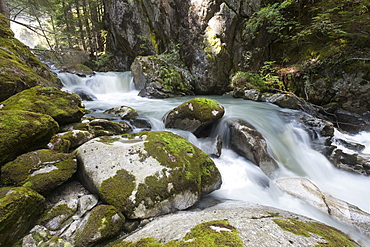 River Sarca, Genova Valley, Trentino, Italy, Europe