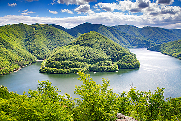 aerial view over Tarnita lake bright green summer landscape