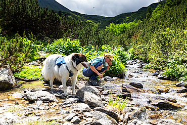 trekking with dog in Rodnei national park Romania