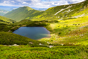 green landscape in Rodnei mountains Romania