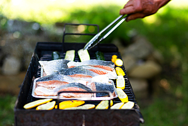 salmon fillets grilled on a barbecue