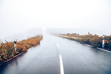 road on a foggy rainy day