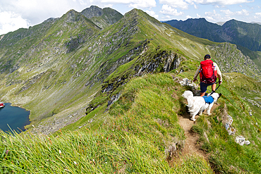 trekking with a dog in hogh mountains