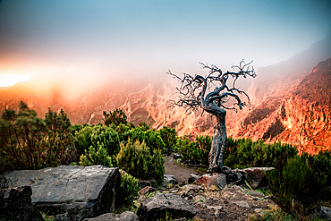 high mountain scenery in Madeira