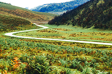 green scenery in the mountains