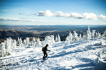 trekking in winter wonderland with snowy fir trees in the mountains