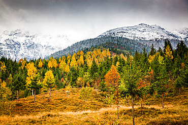 Rodnei Mountains in early winter, Carpathians, Romania, Europe