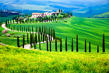 Farmhouse in green summer landscape near Crete Senesi, Tuscany, Italy, Europe