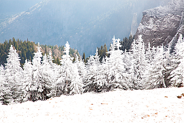 Winter landscape in Ceahlau mountains, Romania, Europe