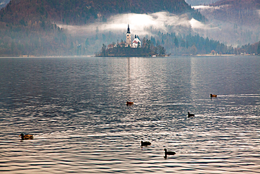 Lake Bled, Slovenia, Europe