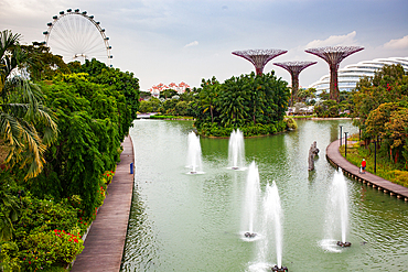 Gardens by the Bay, Singaore, Southeast Asia, Asia