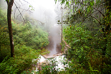 Tinh Yeu (Love Waterfall) in the jungle near Sa Pa (Sapa), Lao Cai province, Vietnam, Indochina, Southeast Asia, Asia