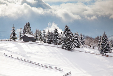 Snowy winter landscape in the Carpathians, Tihuta Pass, Romania, Europe