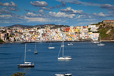 Colorful houses on Procida Island, Phlegraean Islands, Bay of Naples, Campania, Italy