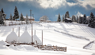 Snowy winter landscape in the Carpathians, Tihuta Pass, Romania, Europe