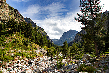 Mountain scenery, Island of Corsica, France