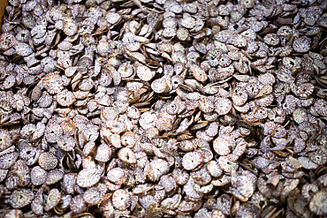 betel nut or Dried Supari Chips