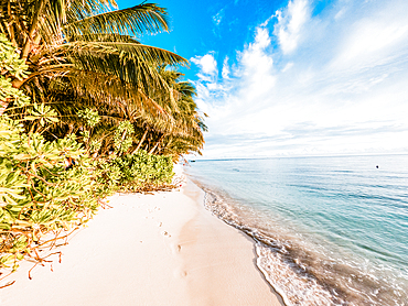 amazing tropical beach background white sand and clear blue water