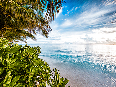 amazing tropical beach background white sand and clear blue water