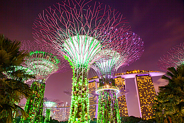 SINGAPORE, SINGAPORE - MARCH 2019: Supertrees illuminated for light show in gardens by the bay