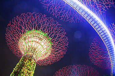 SINGAPORE, SINGAPORE - MARCH 2019: Supertrees illuminated for light show in gardens by the bay