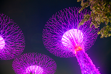 SINGAPORE, SINGAPORE - MARCH 2019: Supertrees illuminated for light show in gardens by the bay