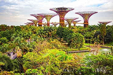 SINGAPORE, SINGAPORE - MARCH 2019: Supertrees in gardens by the bay, Singapore