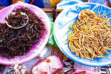 fried insects and crickets as delicacy on a market in northern Thailand