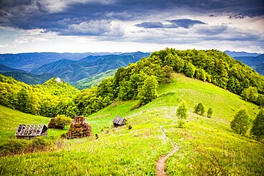 Rural landscape with traditional thatched roof wooden cottages in Dumesti, Apuseni mountains, Romania, Europe