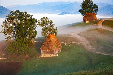 Rural landscape with traditional thatched roof wooden cottages in Dumesti, Apuseni mountains, Romania, Europe