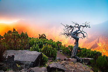 Landscape on the trek between Arieiro peak and Ruivo peak of Madeira island, Portugal