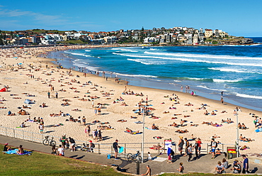 Bondi Beach, Sydney, New South Wales, Australia, Pacific