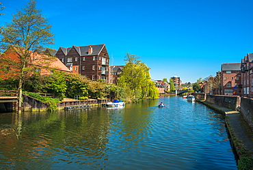 River Wensum, Norwich, Norfolk, England, United Kingdom, Europe