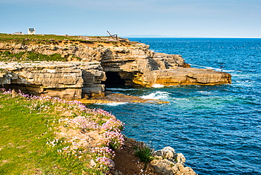 Jurassic oolitic limestone cliffs at Portland Bill in Dorset, UNESCO World Heritage Site, Dorset, England, United Kingdom, Europe