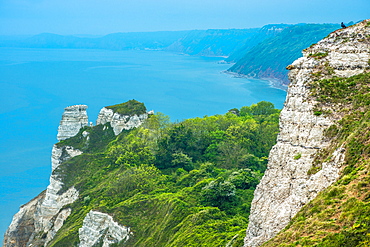 Beer Head looking towards Branscombe Mouth, between Beer and Branscombe on the Jurassic Coast, UNESCO World Heritage Site, Dorset, England, United Kingdom, Europe