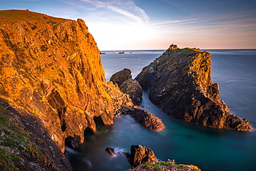 Kynance Cove in late evening, Lizard National Nature Reserve, Lizard Peninsula, Cornwall, England, United Kingdom, Europe