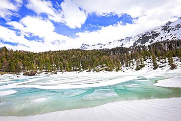 Lake of Saoseo in thaw, Saoseo Lake, Val di Campo, Val Poschiavo, Canton of Graubunden, Switzerland, Europe