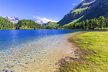 Clear water at Lake Cavloc, Forno Valley, Maloja Pass, Engadine, Graubunden, Switzerland, Europe