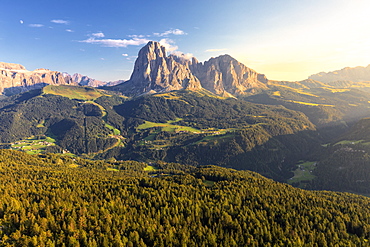 Elevated view of the forest above Gardena Valley with view on Sassolungo Group, South Tyrol, Dolomites, Italy, Europe