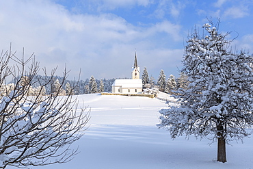 The sun illuminates the church of Versam after a snowfall, Versam, Safiental, Surselva, Graubunden, Switzerland, Europe