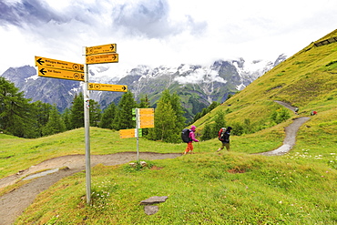 Hikers along the panoramic trail of Ferret Valley, Bertone Hut, Ferret Valley, Courmayeur, Aosta Valley, Italy, Europe