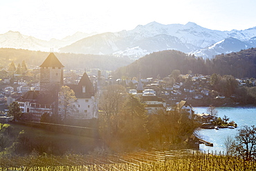 Sunny day at the castle of Spiez, Canton of Bern, Switzerland, Europe