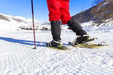 Snowshoes on a snowy path, Livigno, Valtellina, Lombardy, Italy, Europe