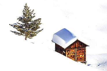 Traditional hut in the winter scenery, Livigno, Valtellina, Lombardy, Italy, Europe